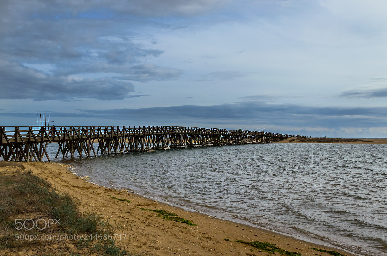 Nikon D5100 sample photo. Wooden bridge photography