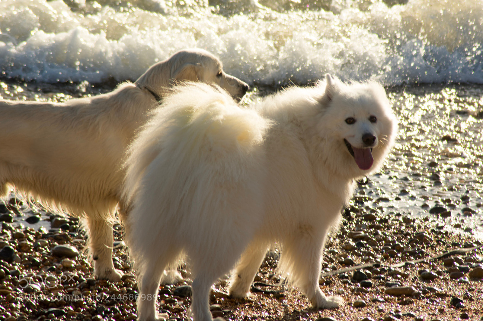 Nikon D3400 sample photo. Sunny beach photography