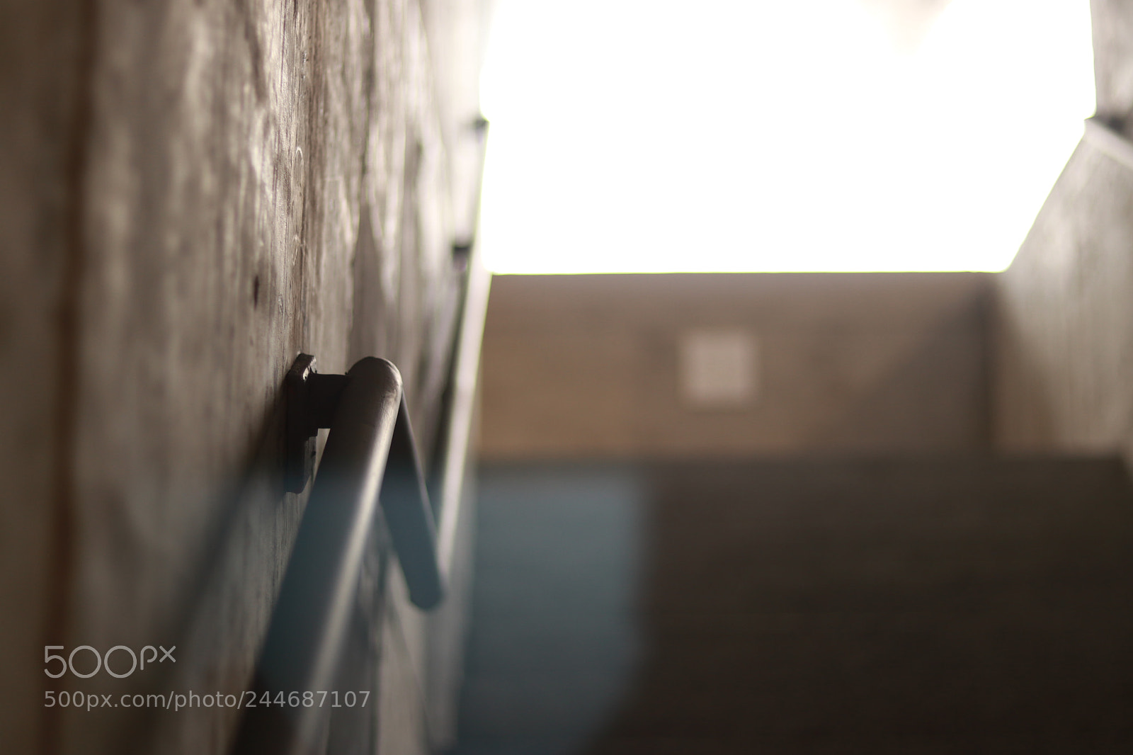 Canon EOS 80D + Canon EF 50mm F1.8 STM sample photo. Untitled photography