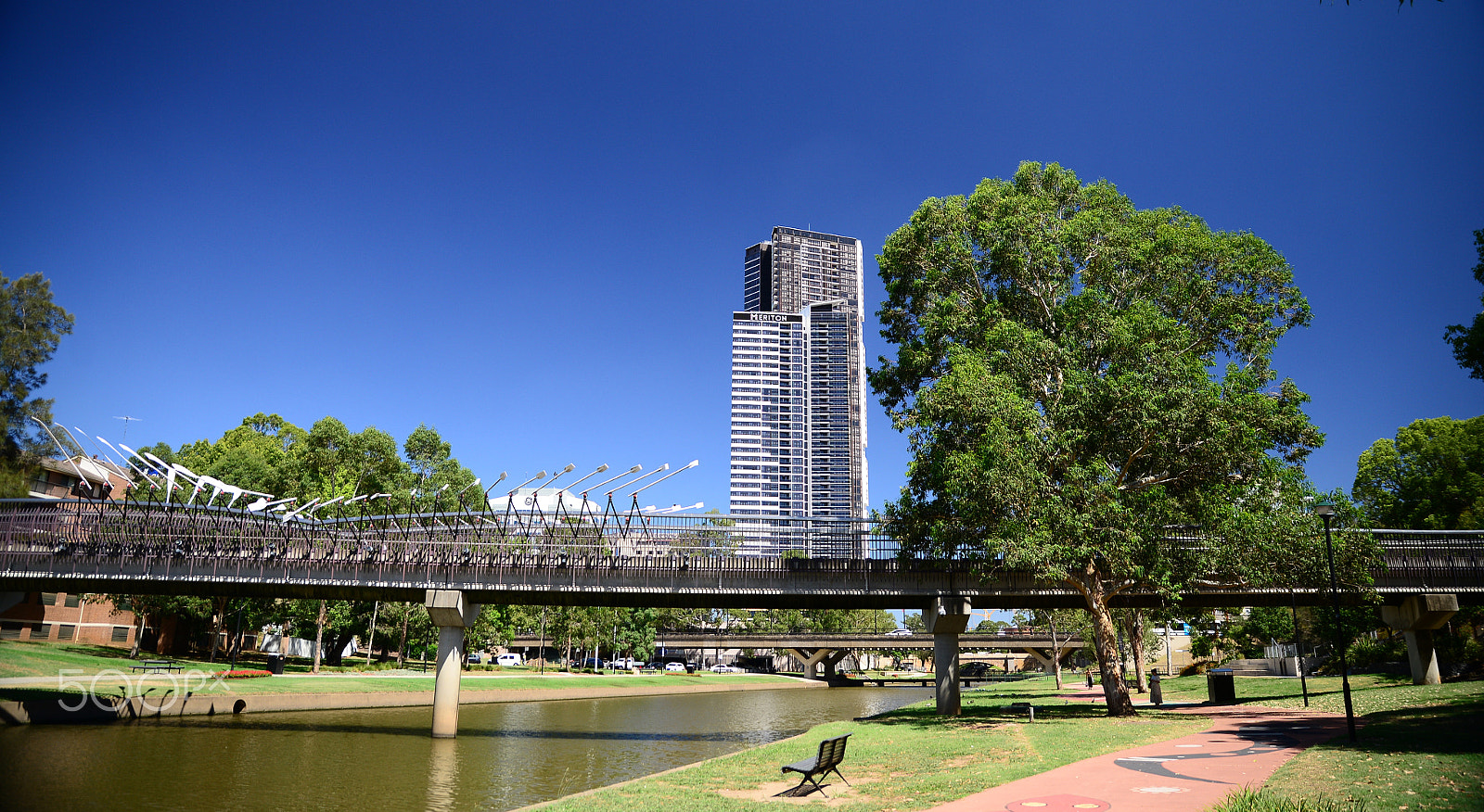 Nikon D610 + Tamron SP 24-70mm F2.8 Di VC USD sample photo. Parramatta river - sydney photography