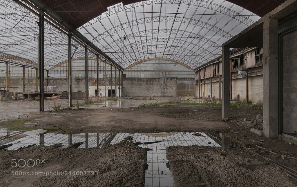 Nikon D300 sample photo. Rivoluzione industriale photography