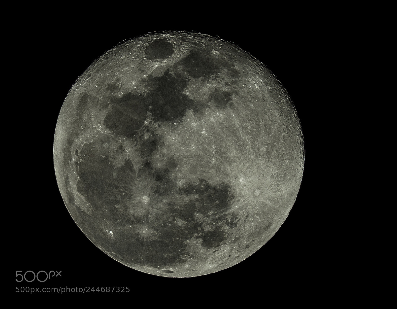 Nikon D810 sample photo. The super moon photography