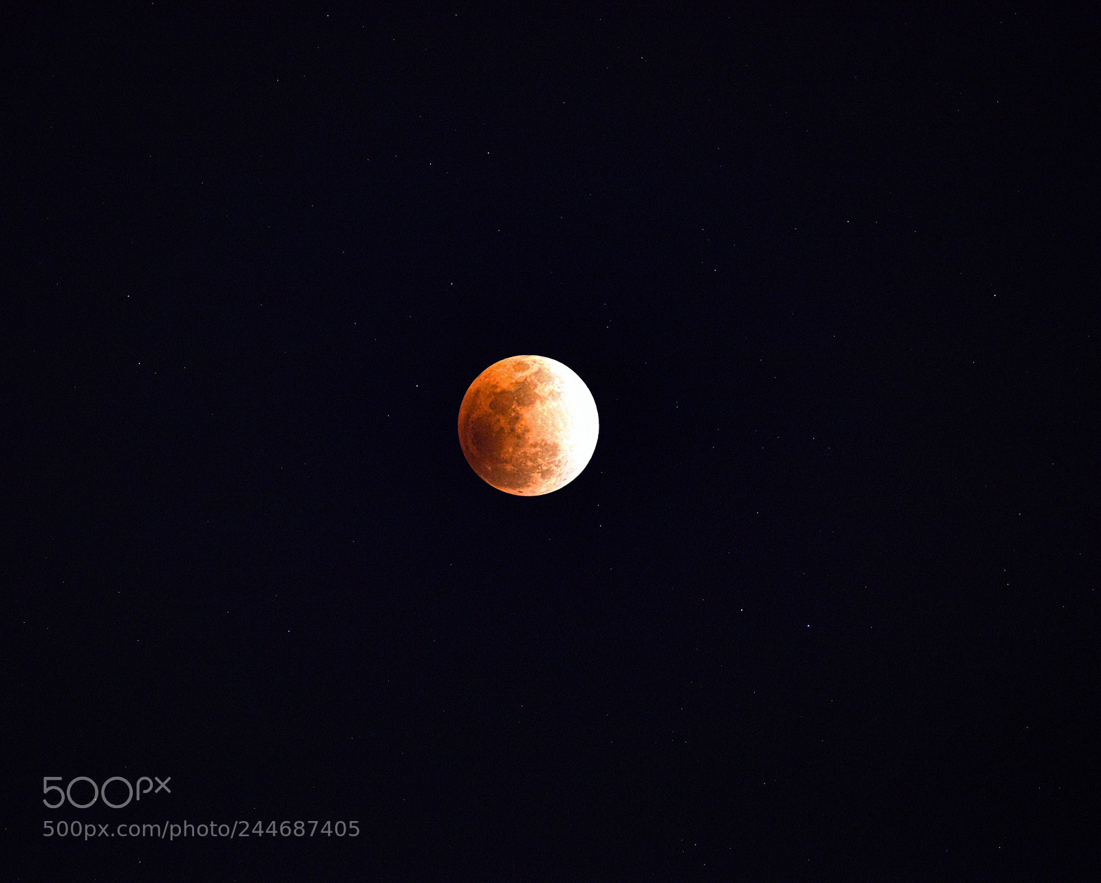 Nikon D810 sample photo. Untitled photography