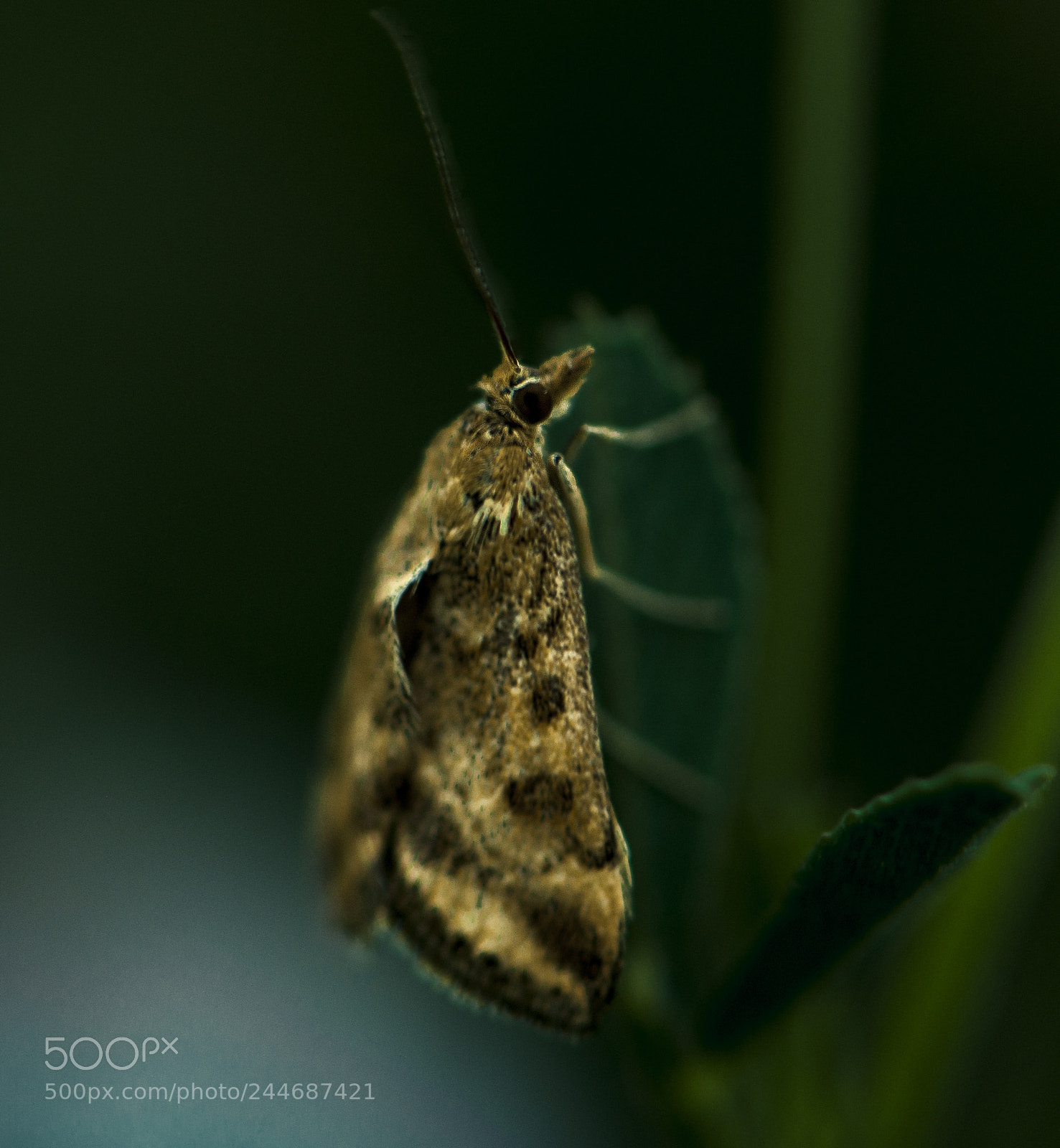 Nikon D90 sample photo. Early shot photography