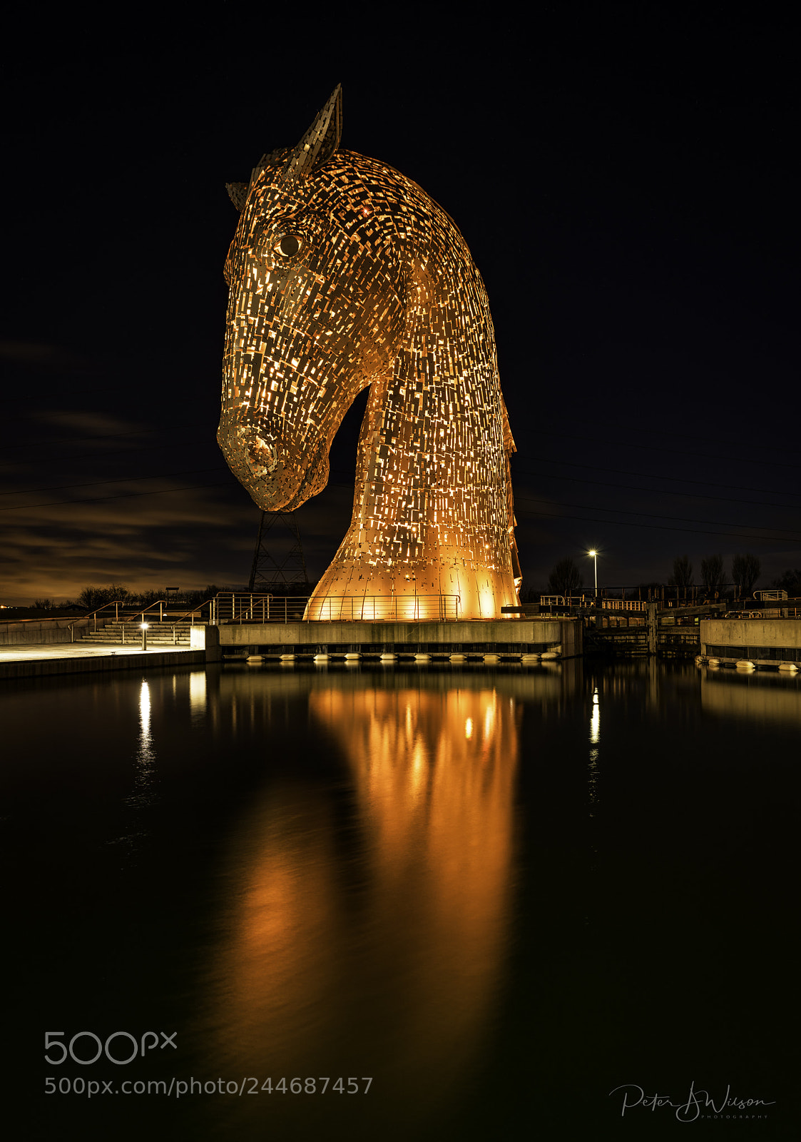 Nikon D810 sample photo. Kelpie photography