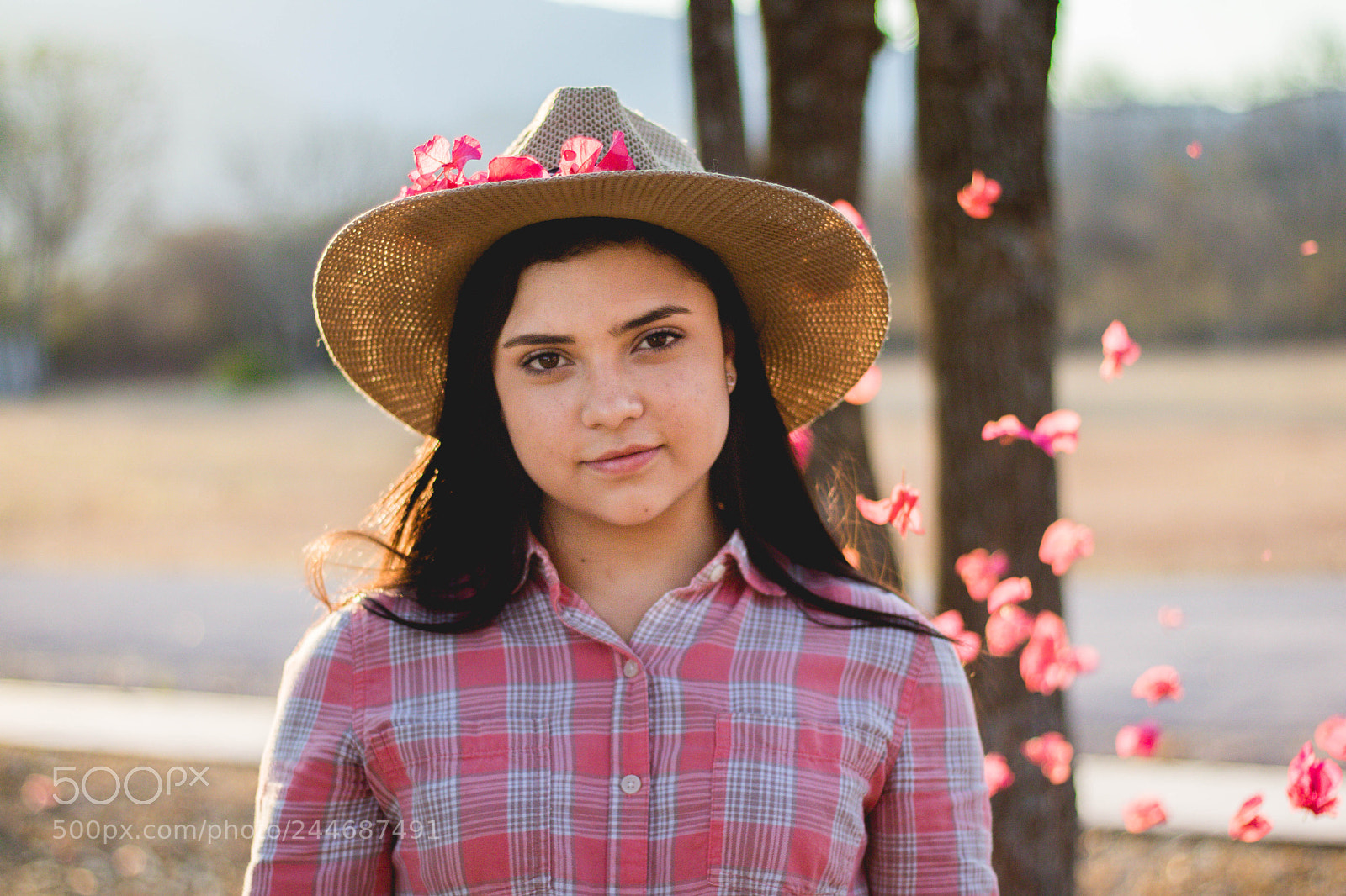 Canon EOS 760D (EOS Rebel T6s / EOS 8000D) sample photo. Unknown looking photography