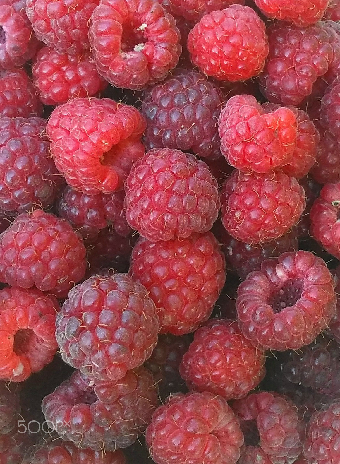 LG LEON 4G LTE sample photo. Raspberries photography