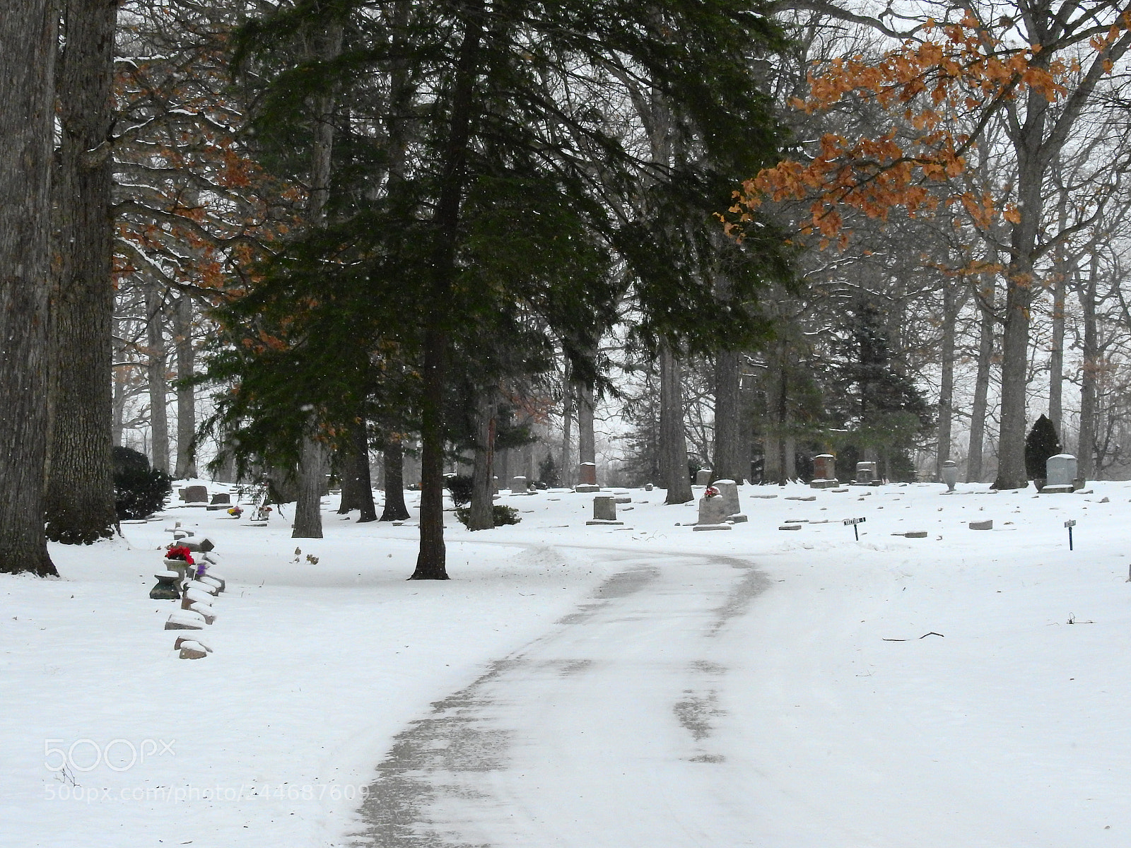 Nikon Coolpix P900 sample photo. Another winter day photography