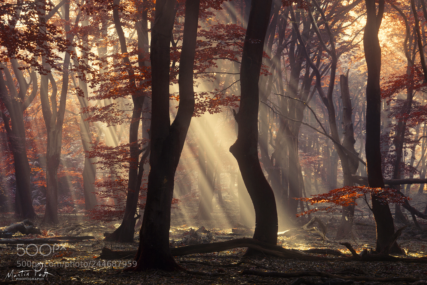 Sony a5100 sample photo. It's raining sunrays photography