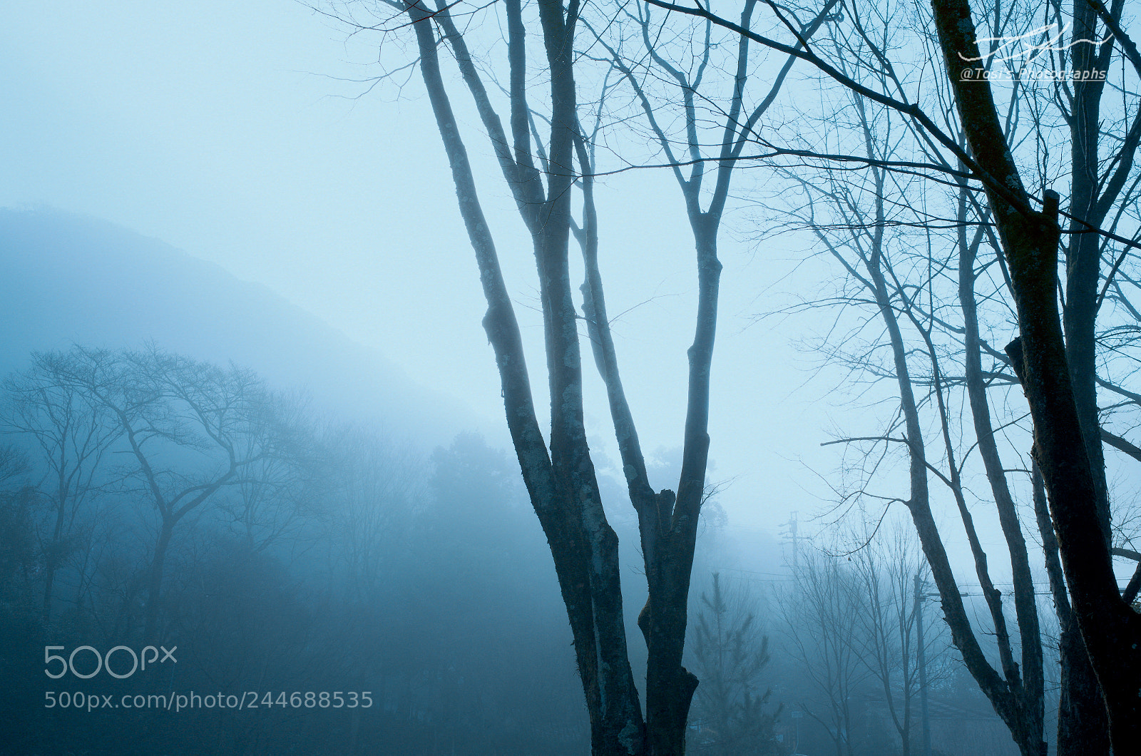Ricoh GR sample photo. The fog covers photography
