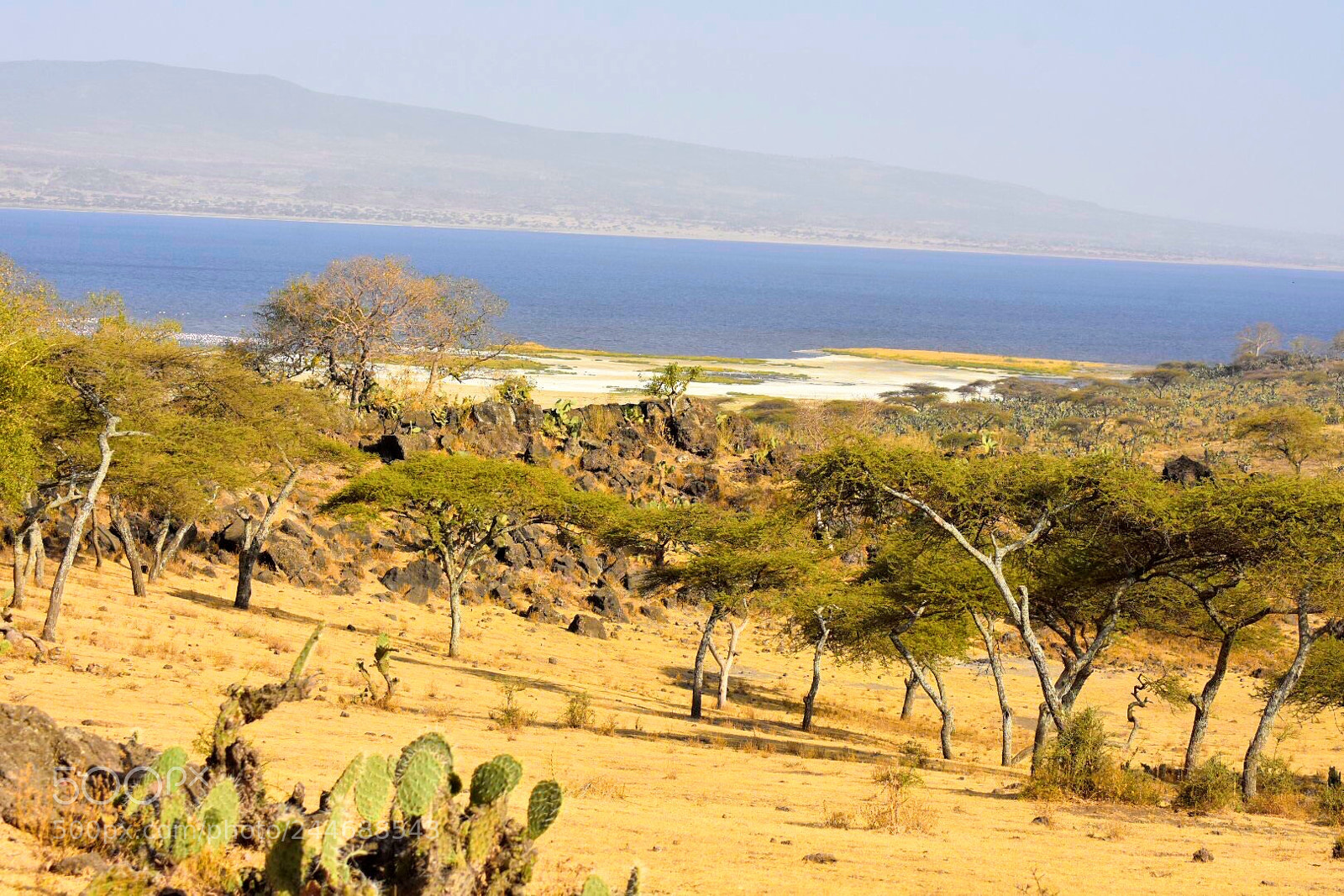 Nikon D7200 sample photo. Beautiful landscape photography