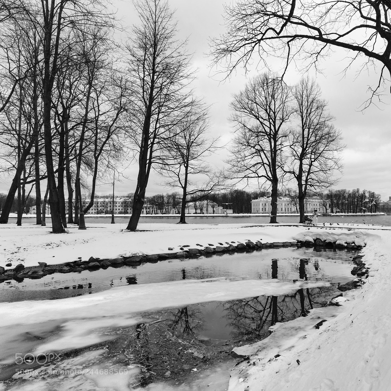 Sony a7R II sample photo. Park. photography