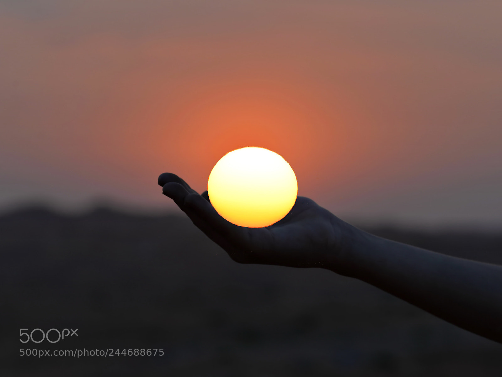 Nikon D610 sample photo. Sun in the hand photography