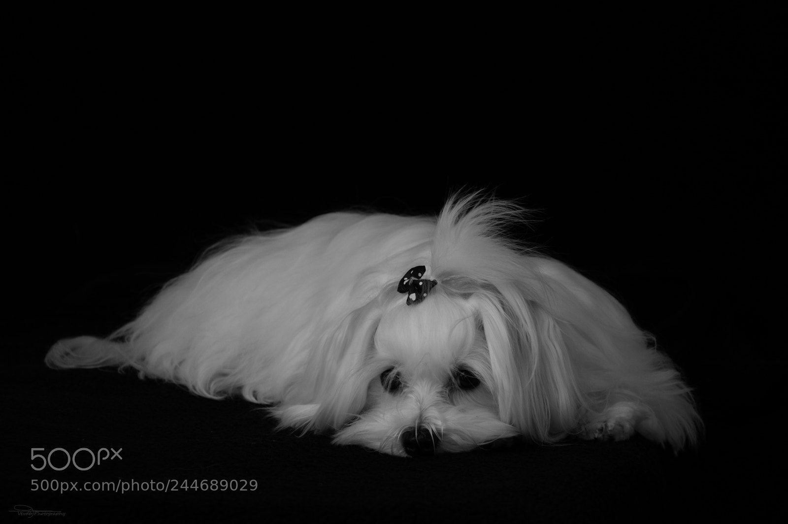 Nikon D3200 sample photo. My sweet darling photography