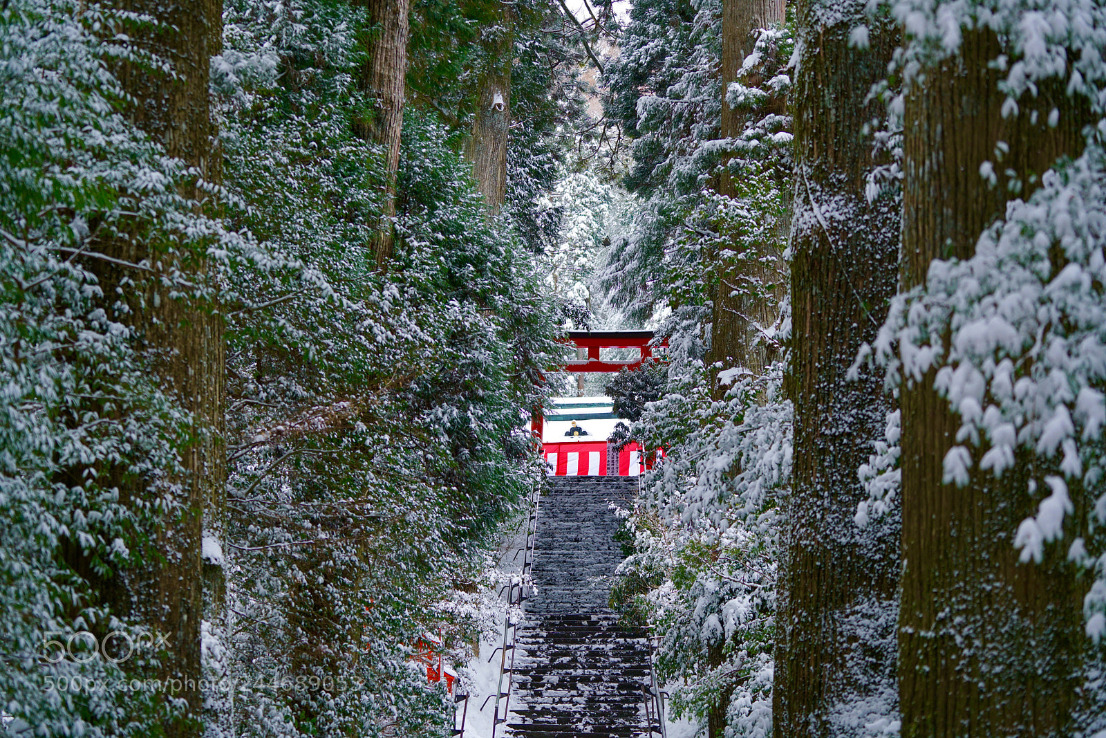 Sony a7R II sample photo. Worship road in snow photography