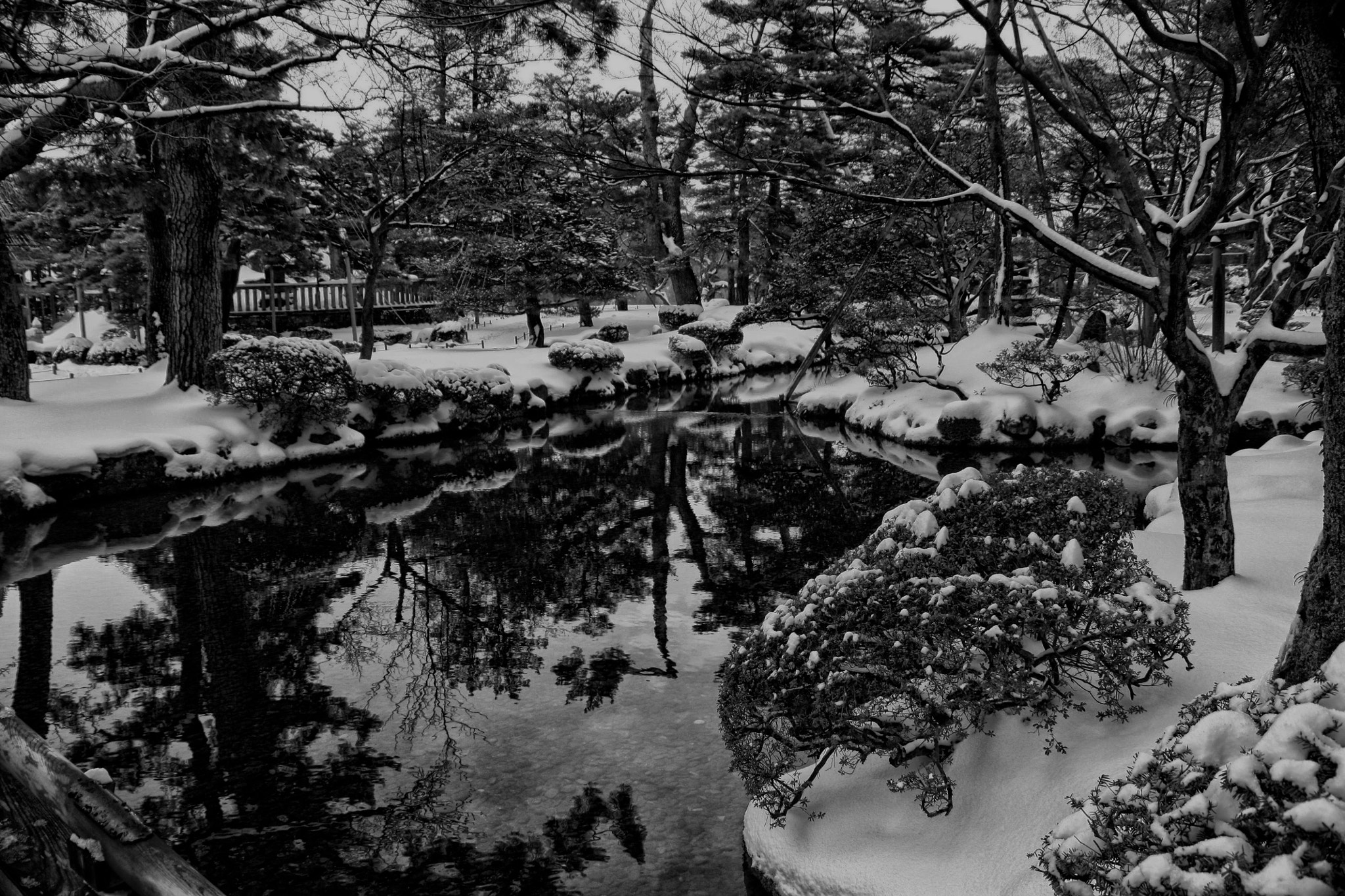 Canon EOS 450D (EOS Rebel XSi / EOS Kiss X2) sample photo. Snow in kenrokuen photography