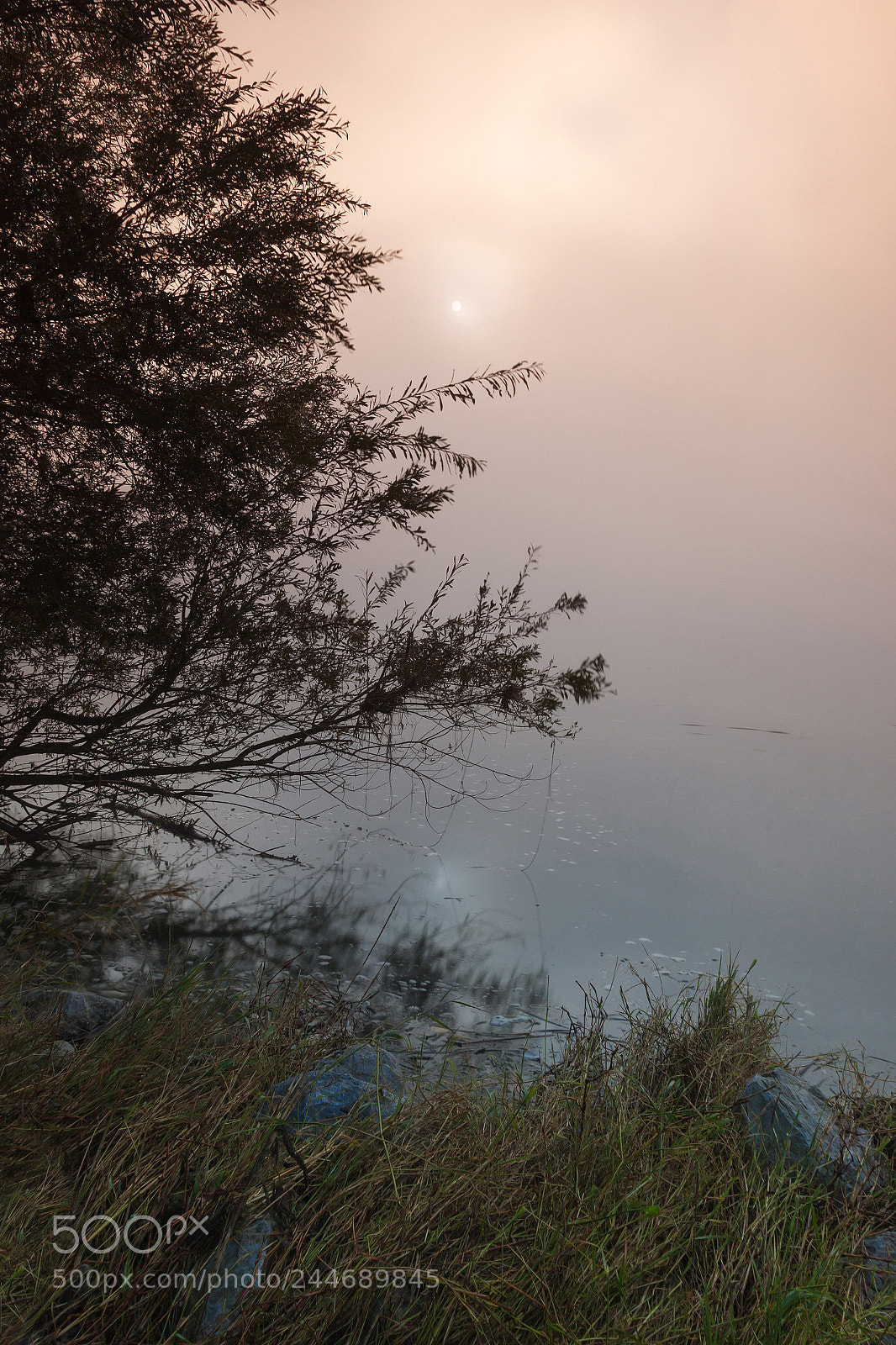 Canon EOS 50D sample photo. Misty serenity on the photography
