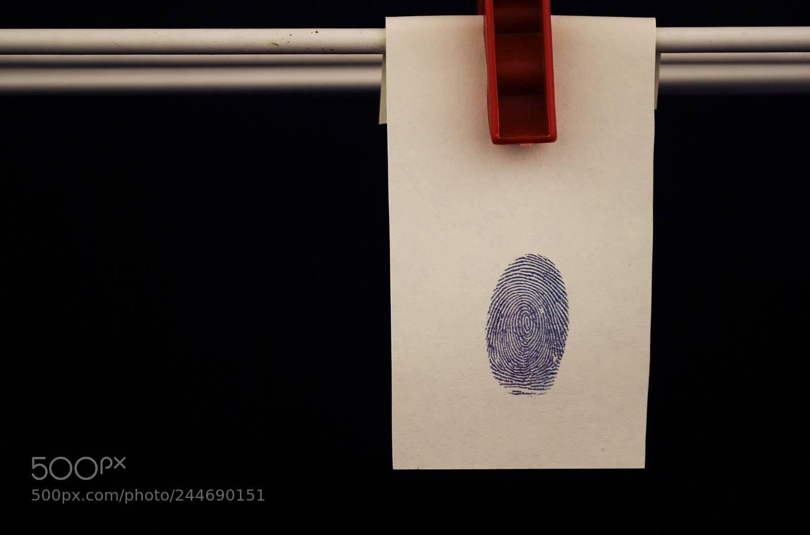 Nikon D3000 sample photo. Self investigation photography
