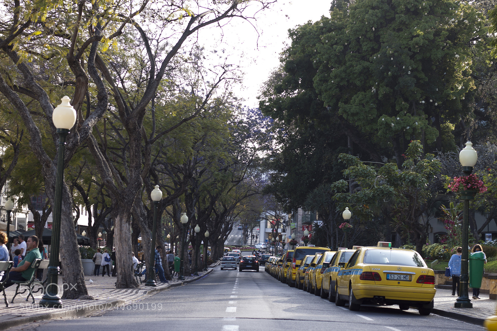 Canon EOS 500D (EOS Rebel T1i / EOS Kiss X3) sample photo. Road... photography