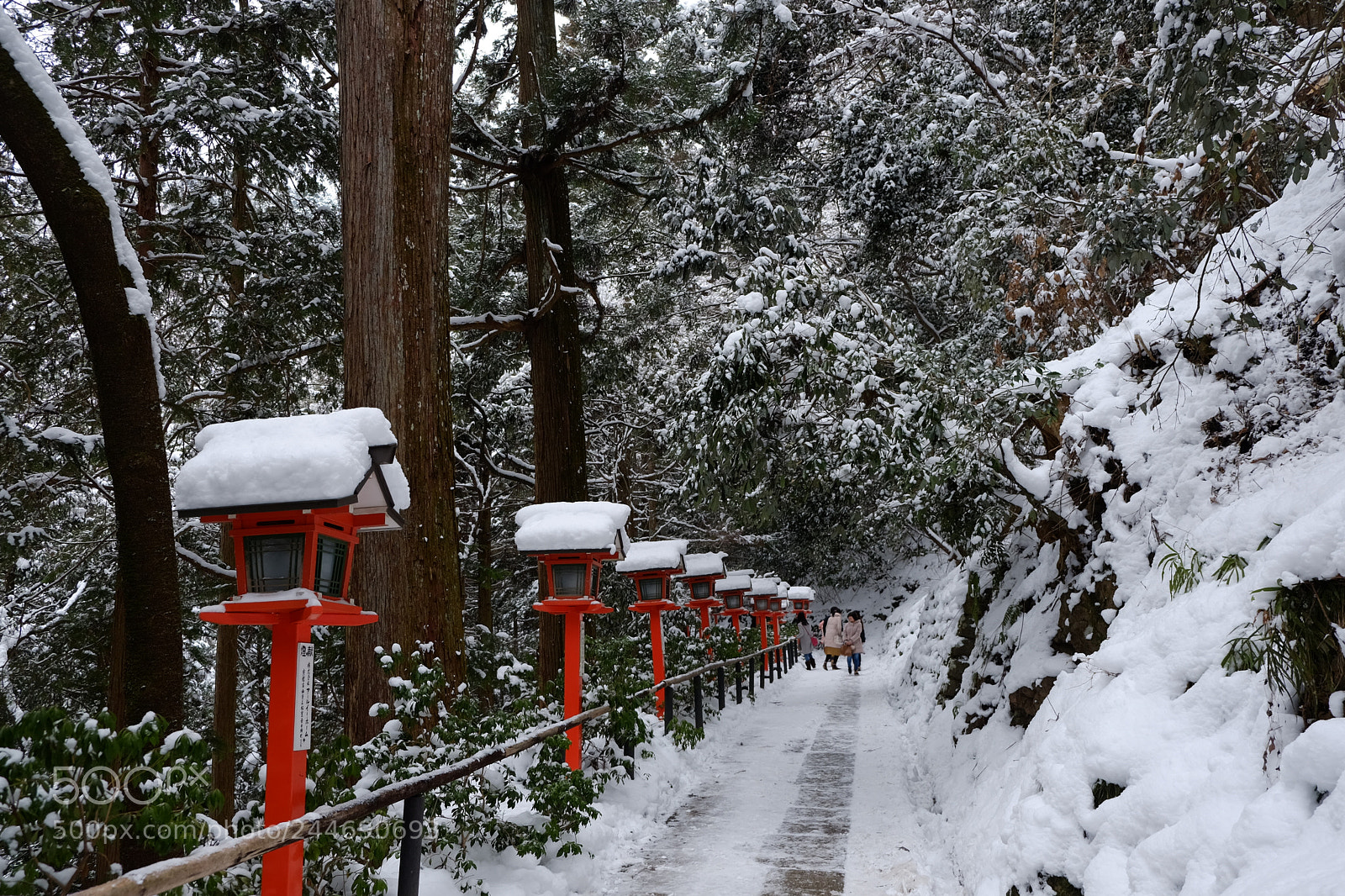 Fujifilm X-T1 sample photo. Dscf photography