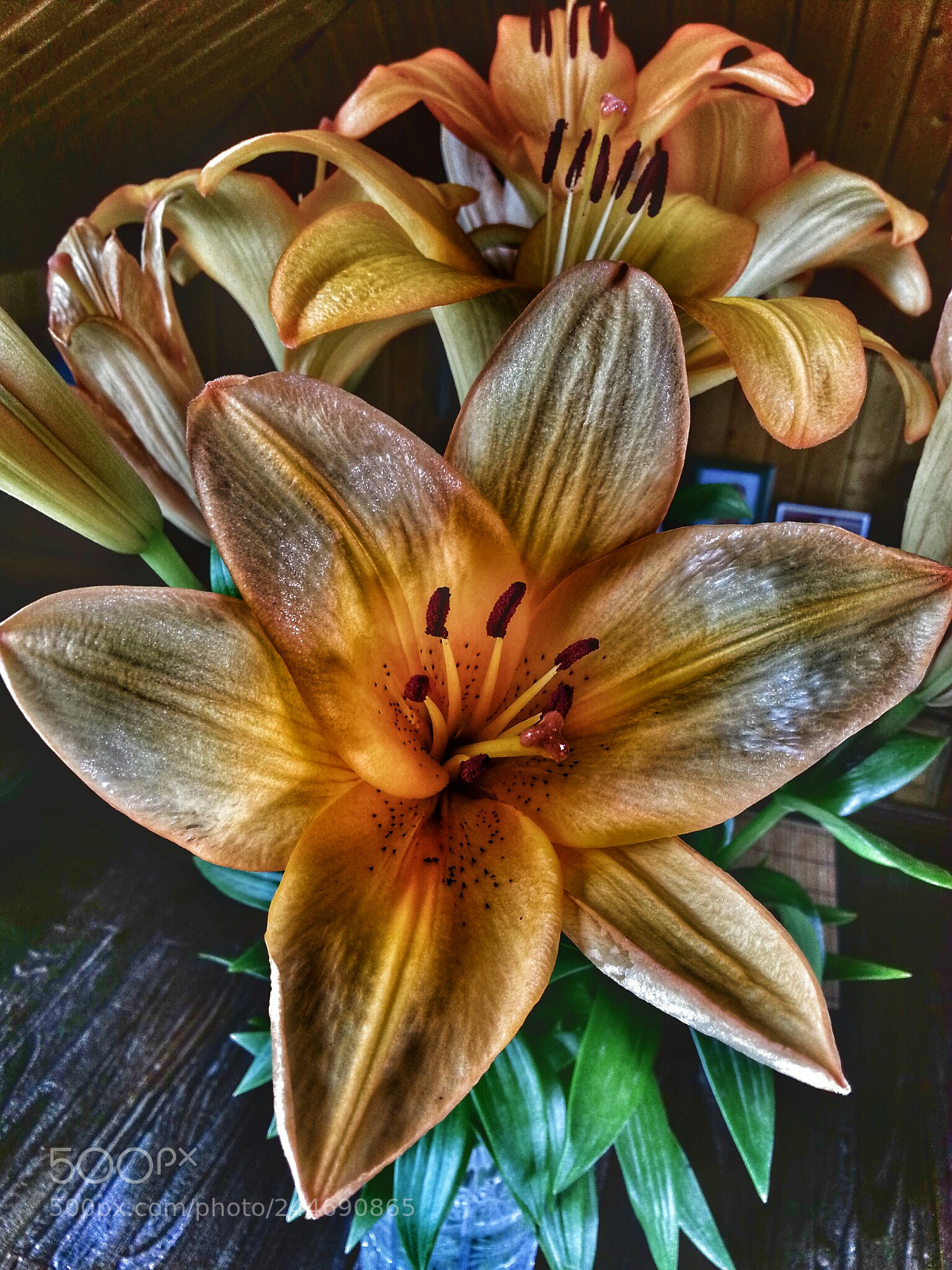 Samsung Galaxy Note2 sample photo. Untitled photography