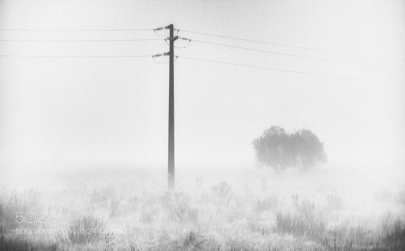 Panasonic Lumix DMC-GX8 sample photo. A fog canvas photography