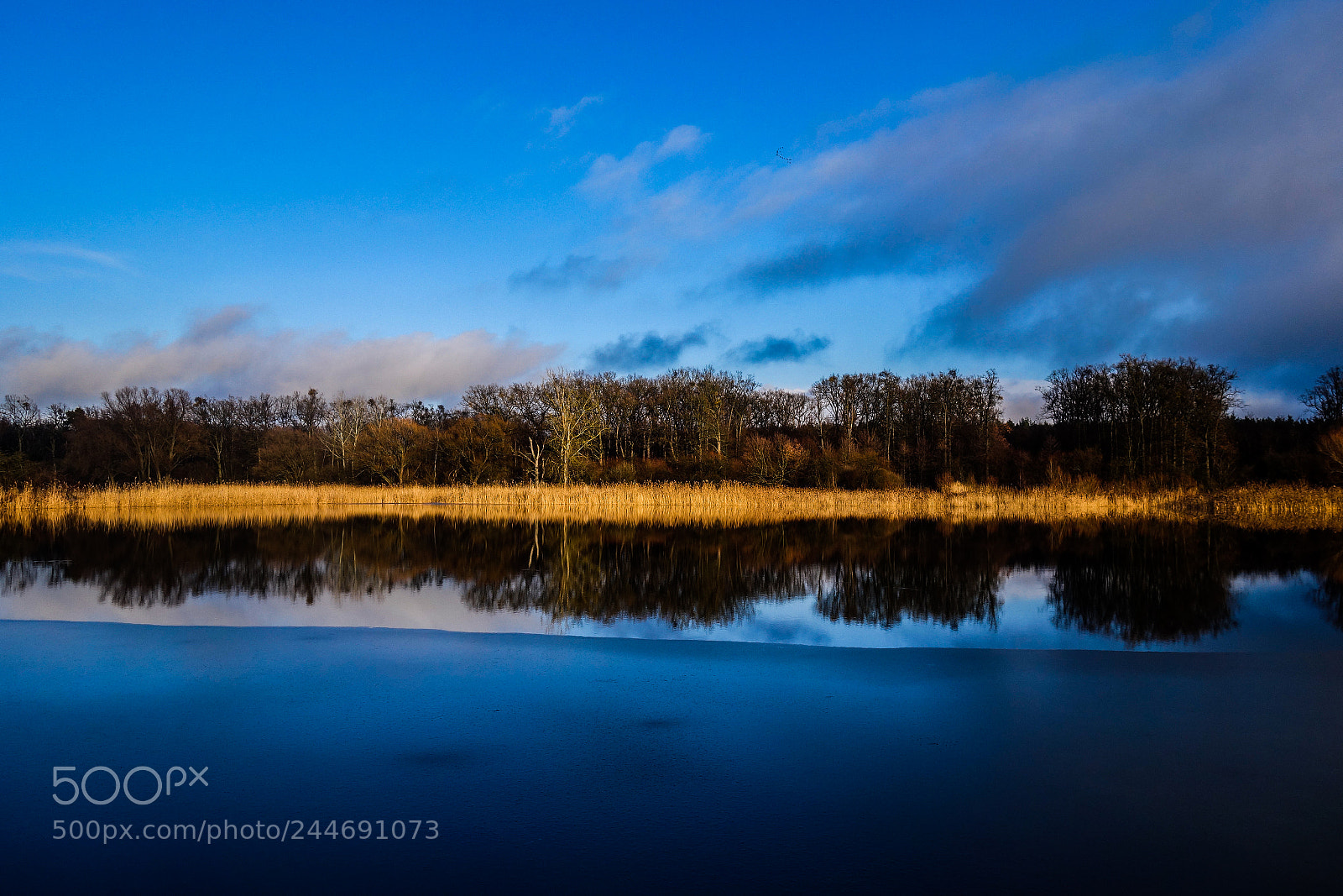 Sony Cyber-shot DSC-RX100 II sample photo. Moravian ponds photography