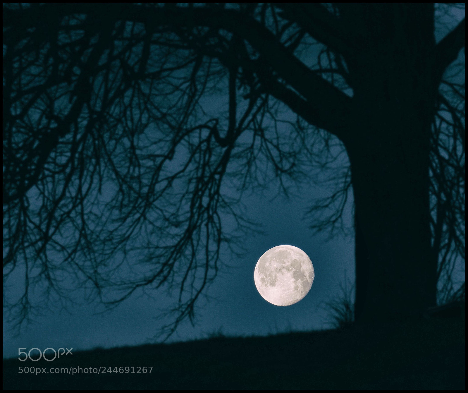 Olympus OM-D E-M1 Mark II sample photo. Supermond photography