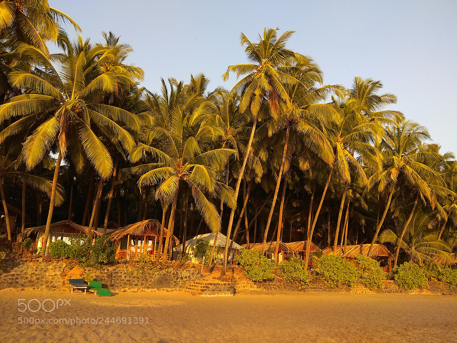 Xiaomi Redmi Note 4 sample photo. Untitled photography
