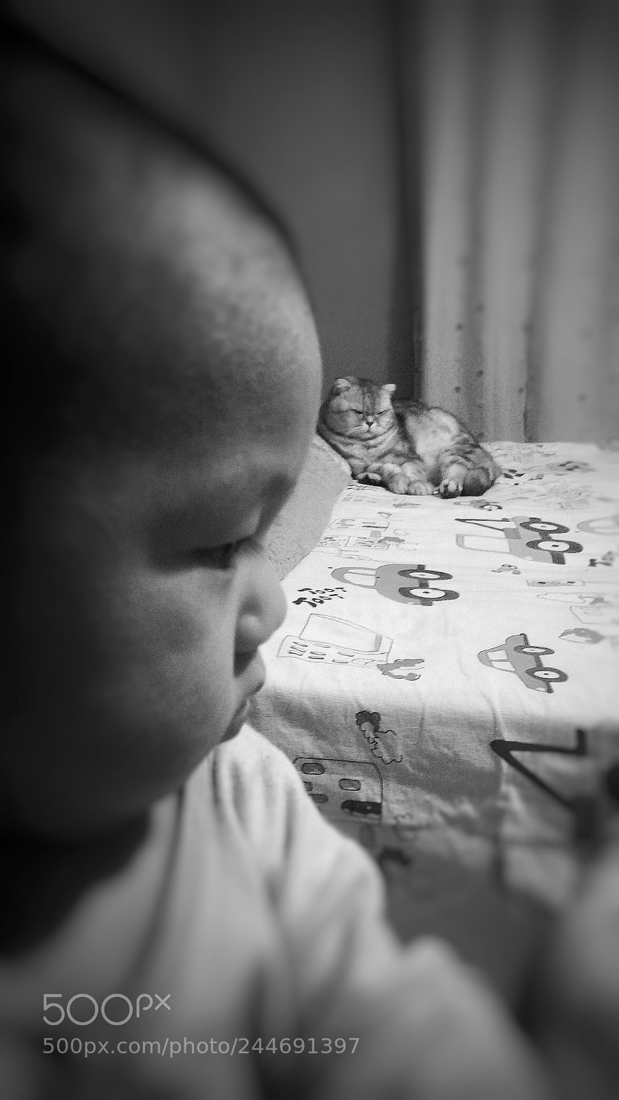 Xiaomi Redmi Note 4X sample photo. Untitled photography