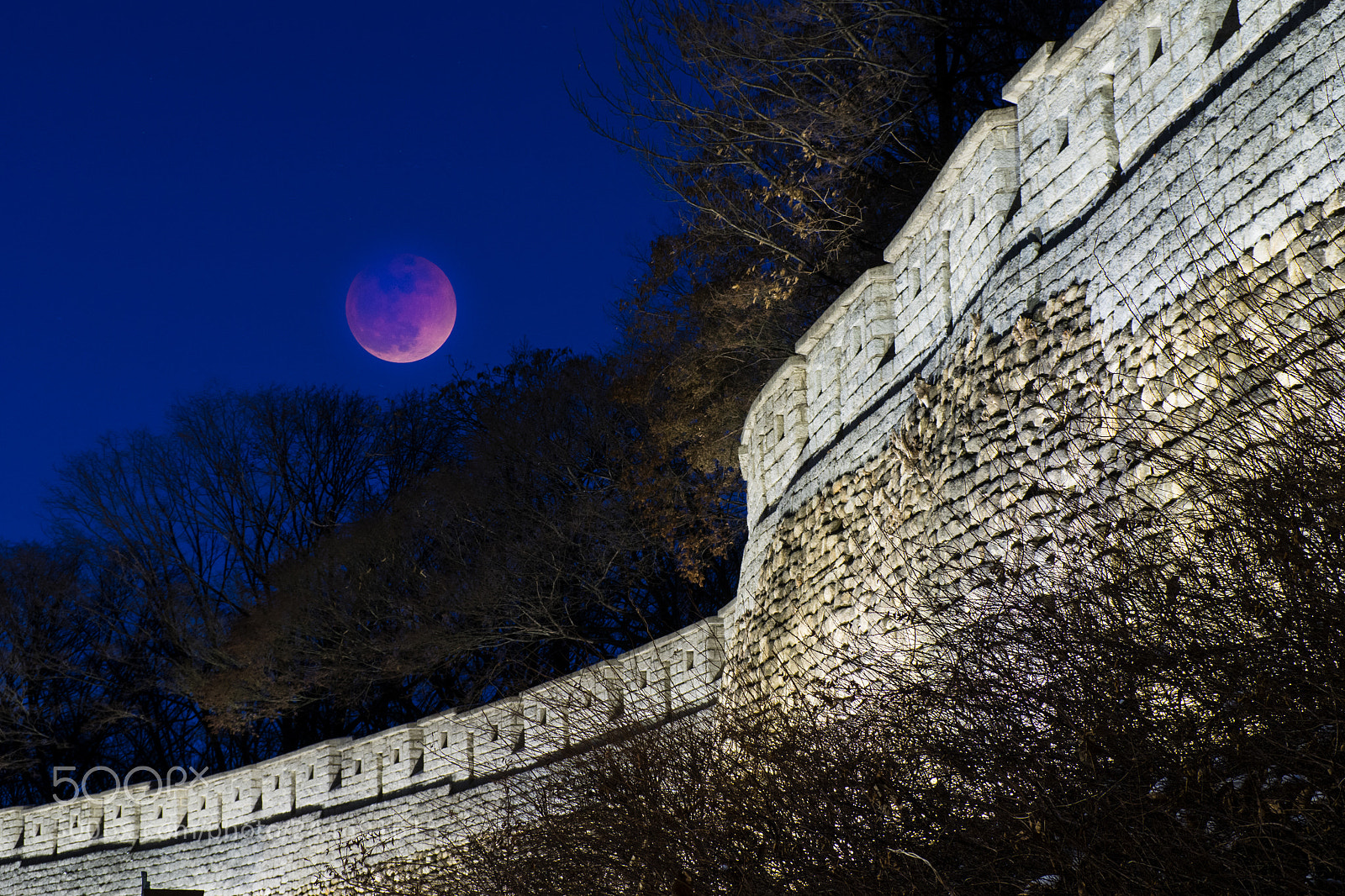 Olympus OM-D E-M1 sample photo. Super blue blood moon photography