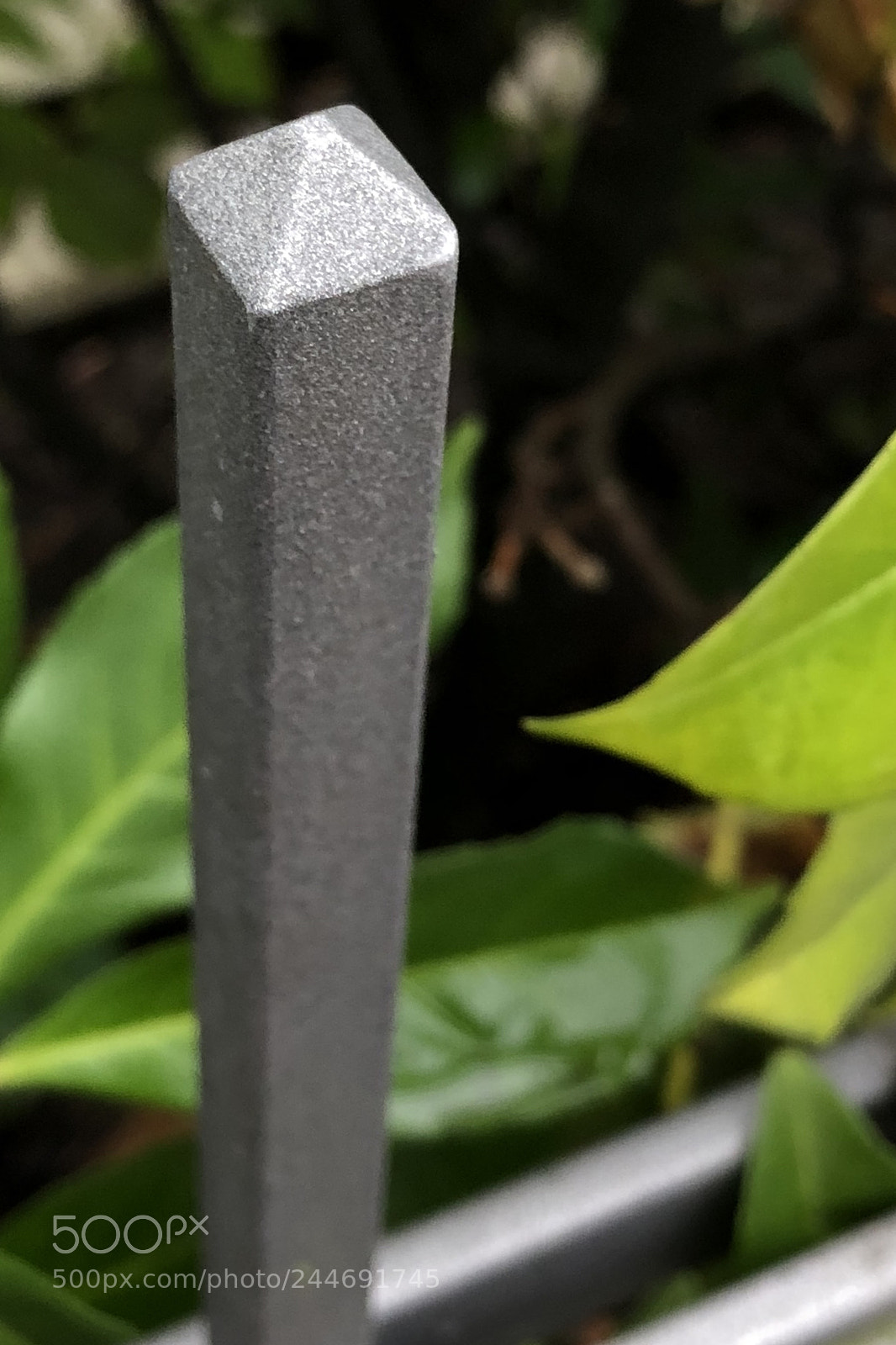 Apple iPhone X sample photo. Untitled photography