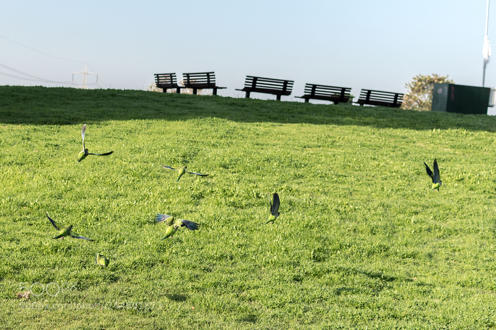 Nikon D5600 sample photo. 20180202-dsc_2631-2.jpg photography