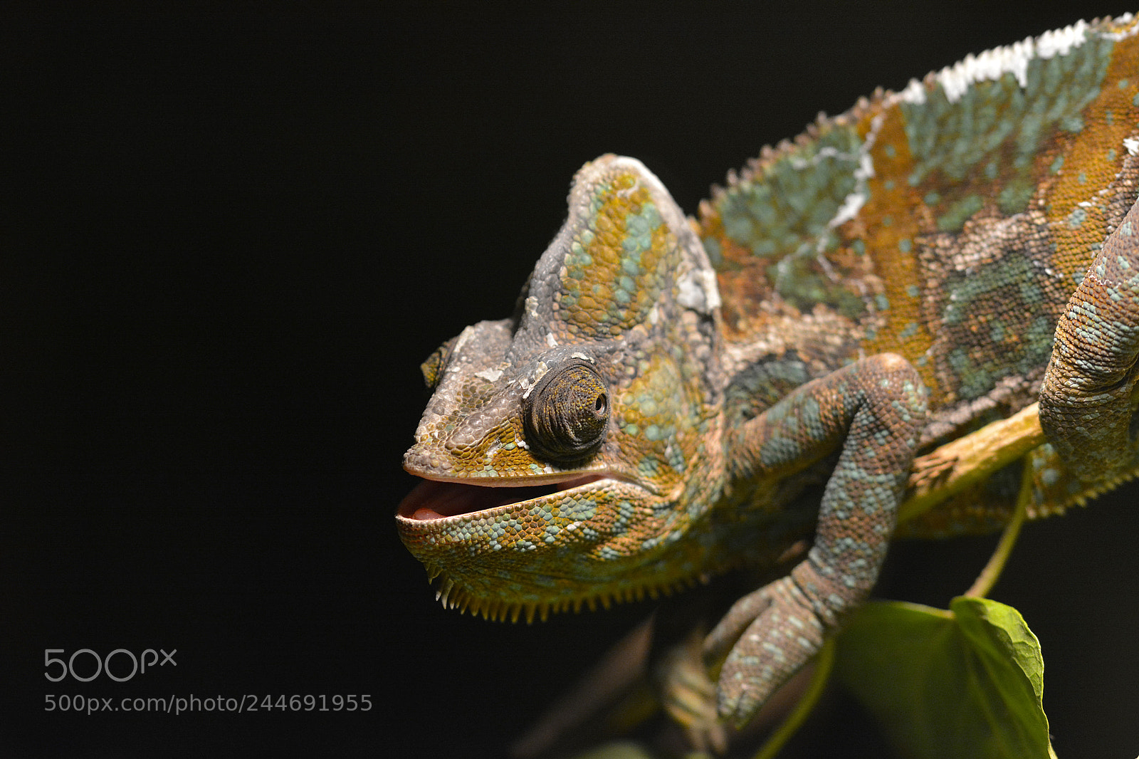 Nikon D7100 sample photo. Keep smiling! photography