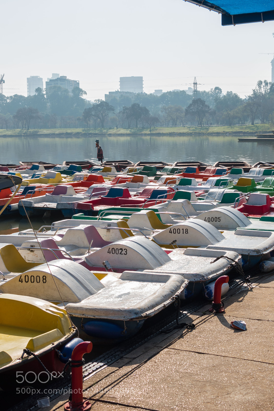 Nikon D5600 sample photo. Dsc photography