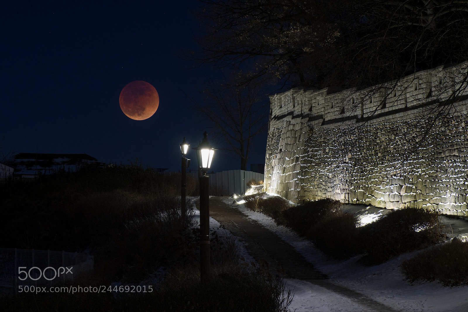 Olympus OM-D E-M1 sample photo. Super blue blood moon photography