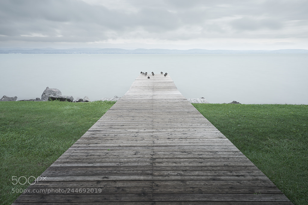 Nikon D810 sample photo. Siesta photography