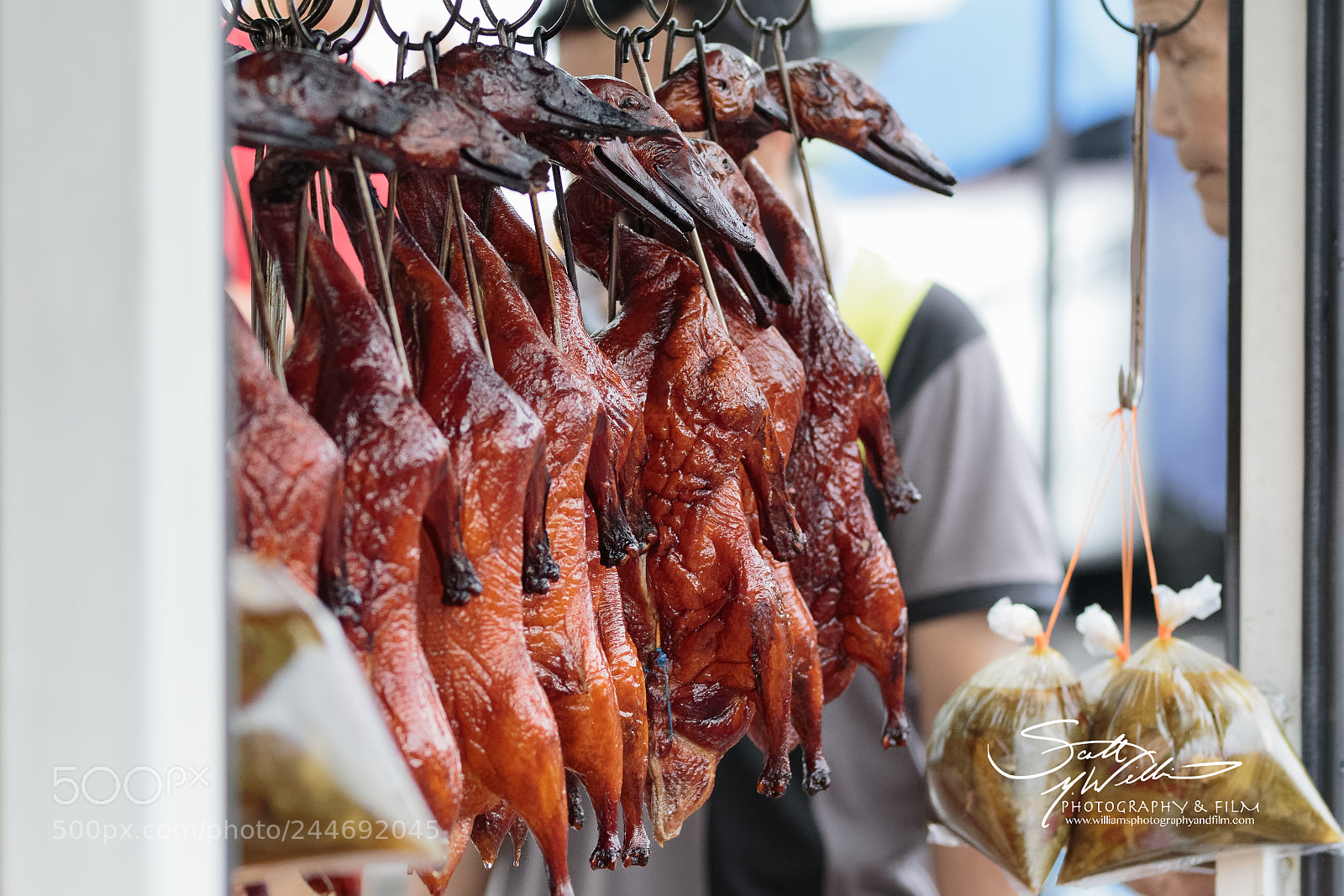 Canon EOS 7D Mark II sample photo. Duck for dinner scott photography