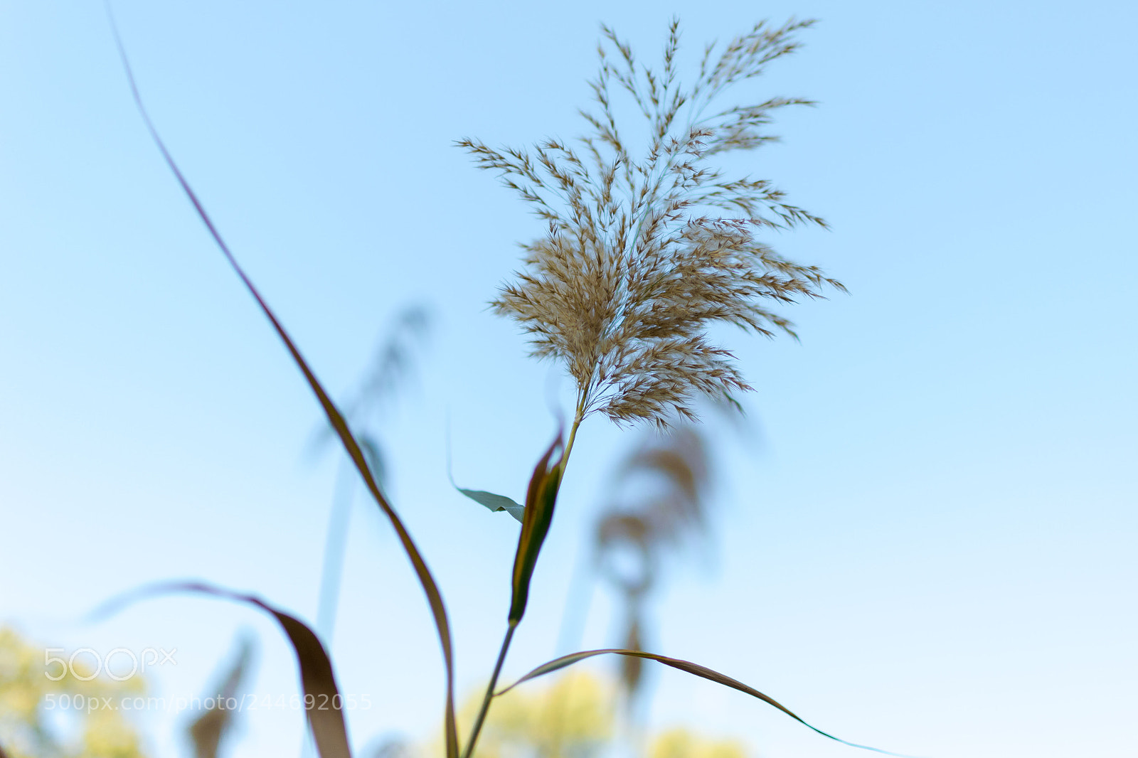 Nikon D5600 sample photo. Dsc photography