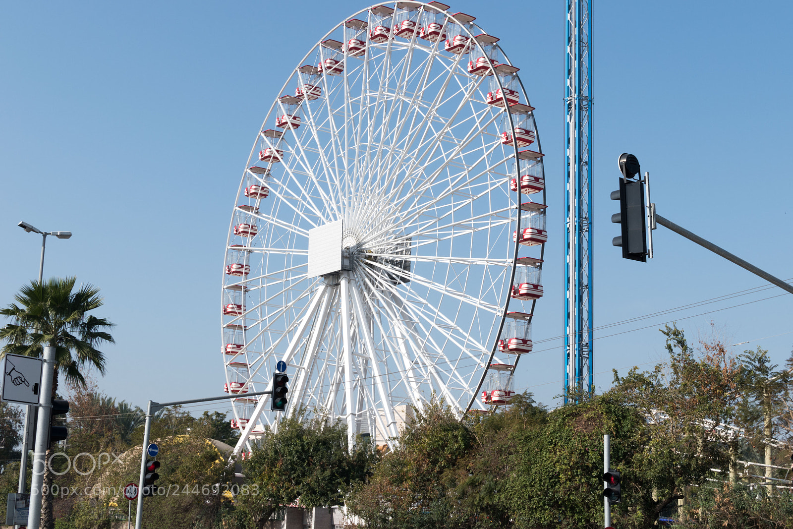 Nikon D5600 sample photo. Dsc photography
