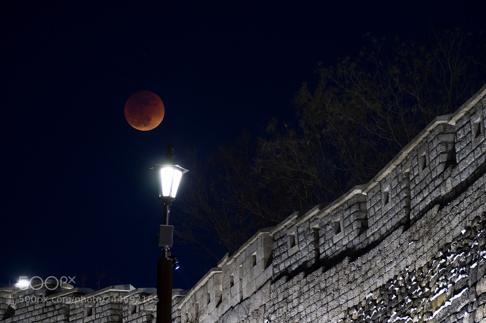 Olympus OM-D E-M1 sample photo. Super blue blood moon photography