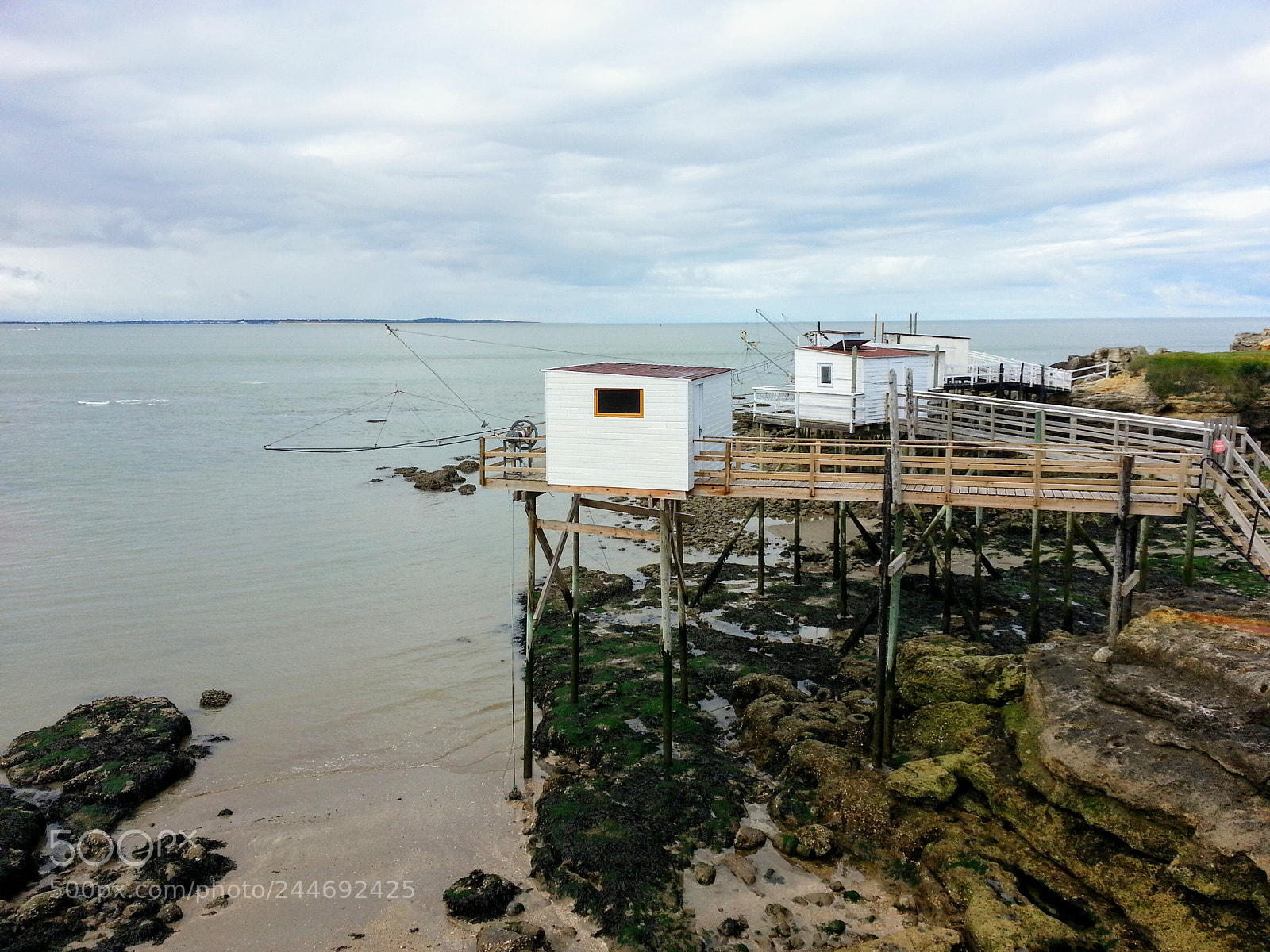 Samsung Galaxy S3 sample photo. Untitled photography