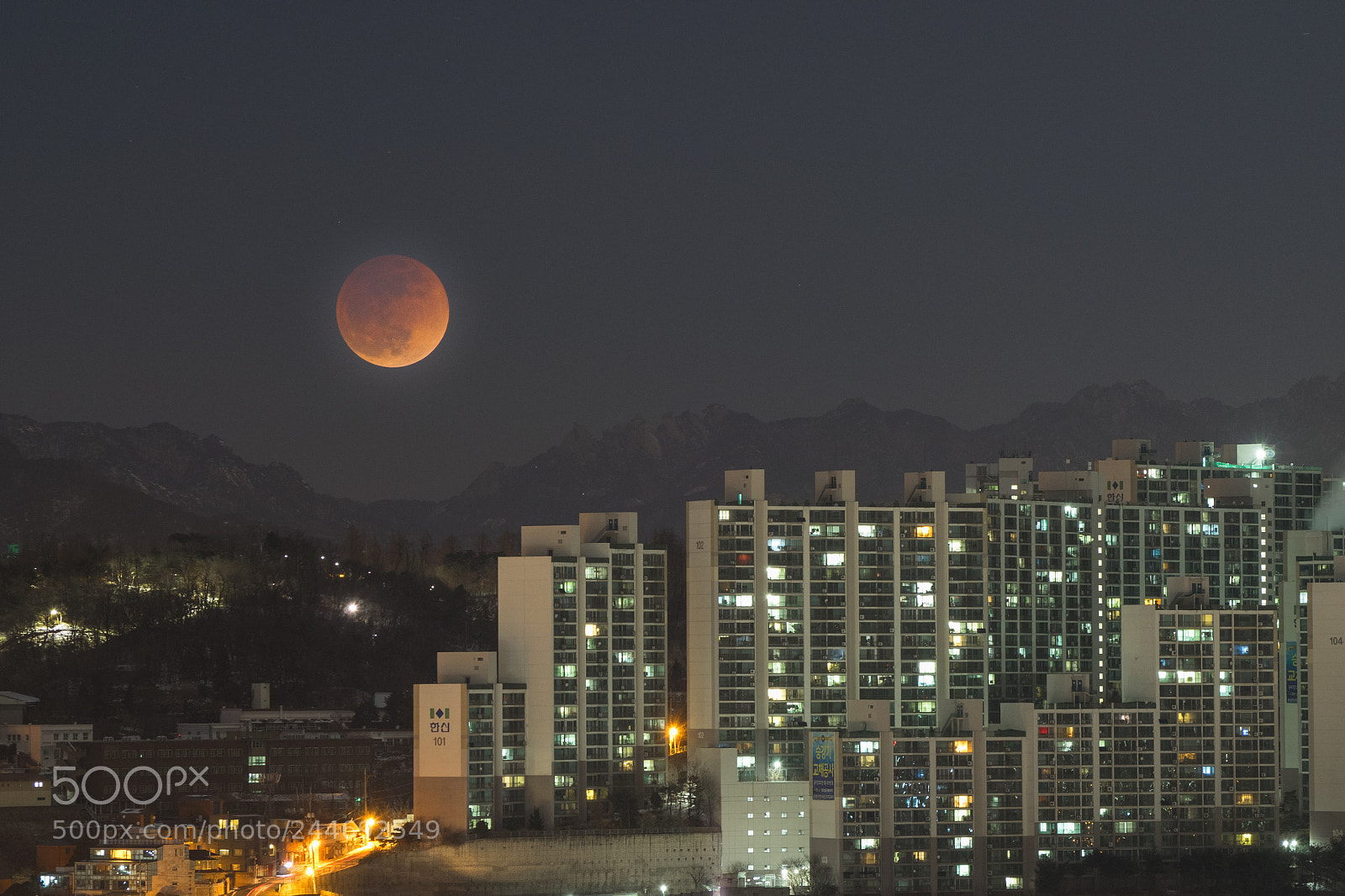 Olympus OM-D E-M1 sample photo. Super blue blood moon photography