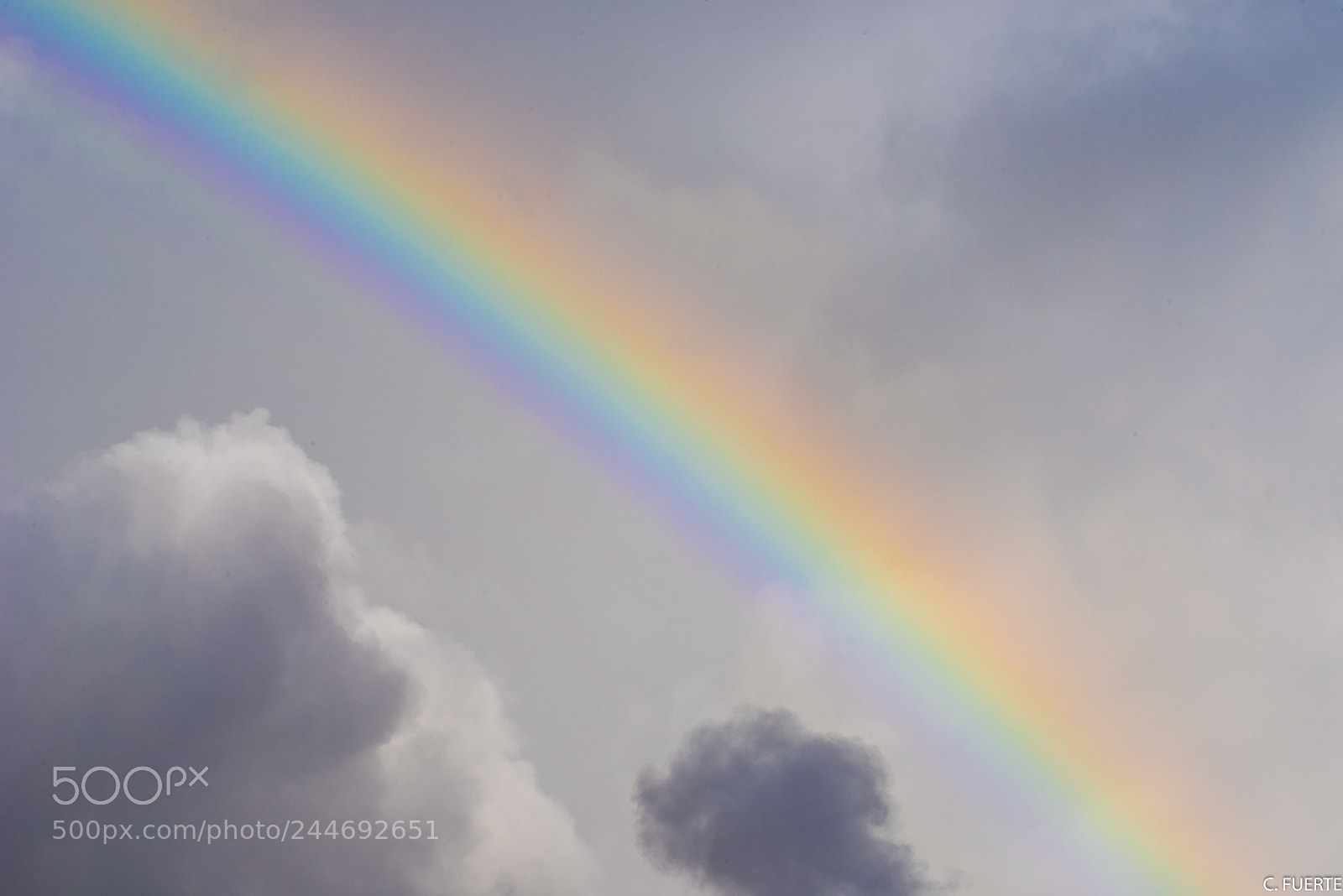 Nikon D810 sample photo. Untitled photography