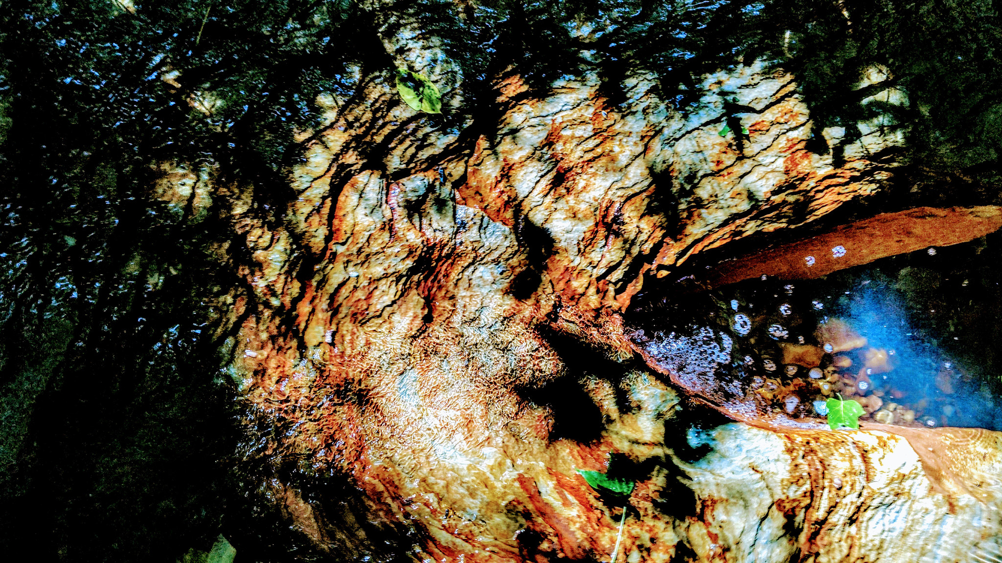 Motorola XT1650 sample photo