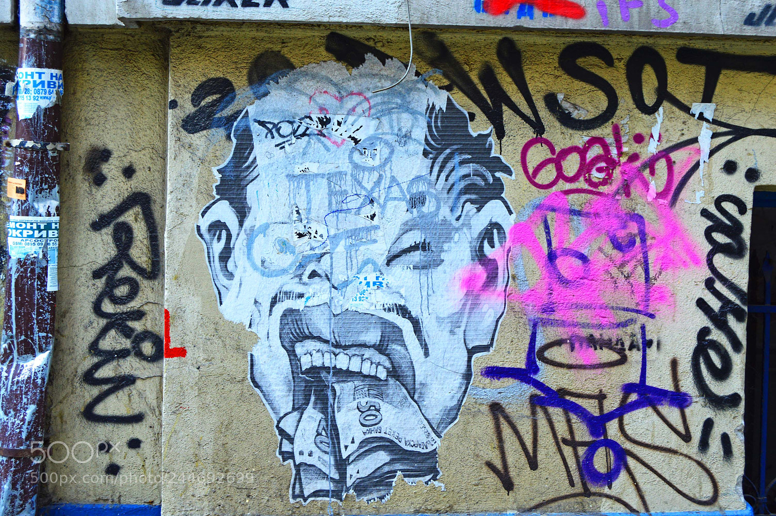 Nikon D3200 sample photo. '.put your money where photography