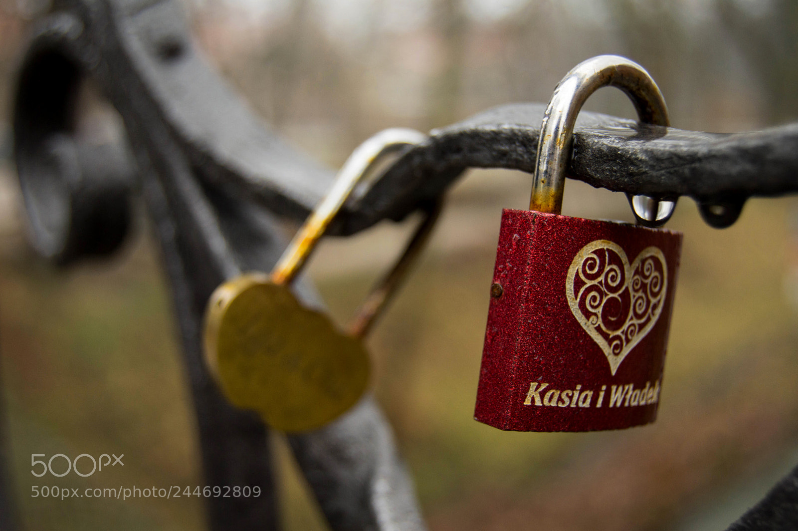 Nikon D3200 sample photo. Untitled photography