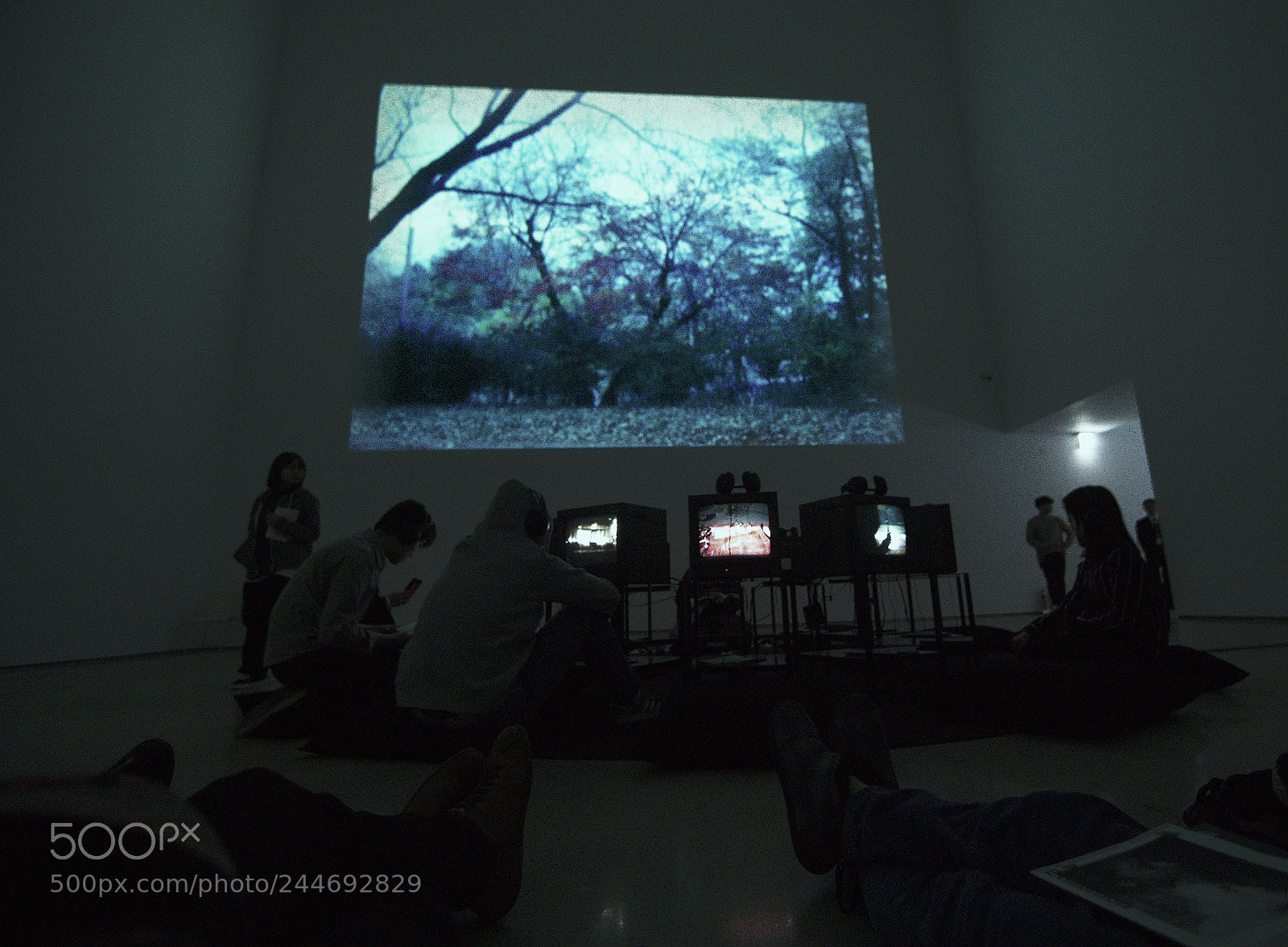 Olympus PEN-F sample photo. The tree room jonas photography