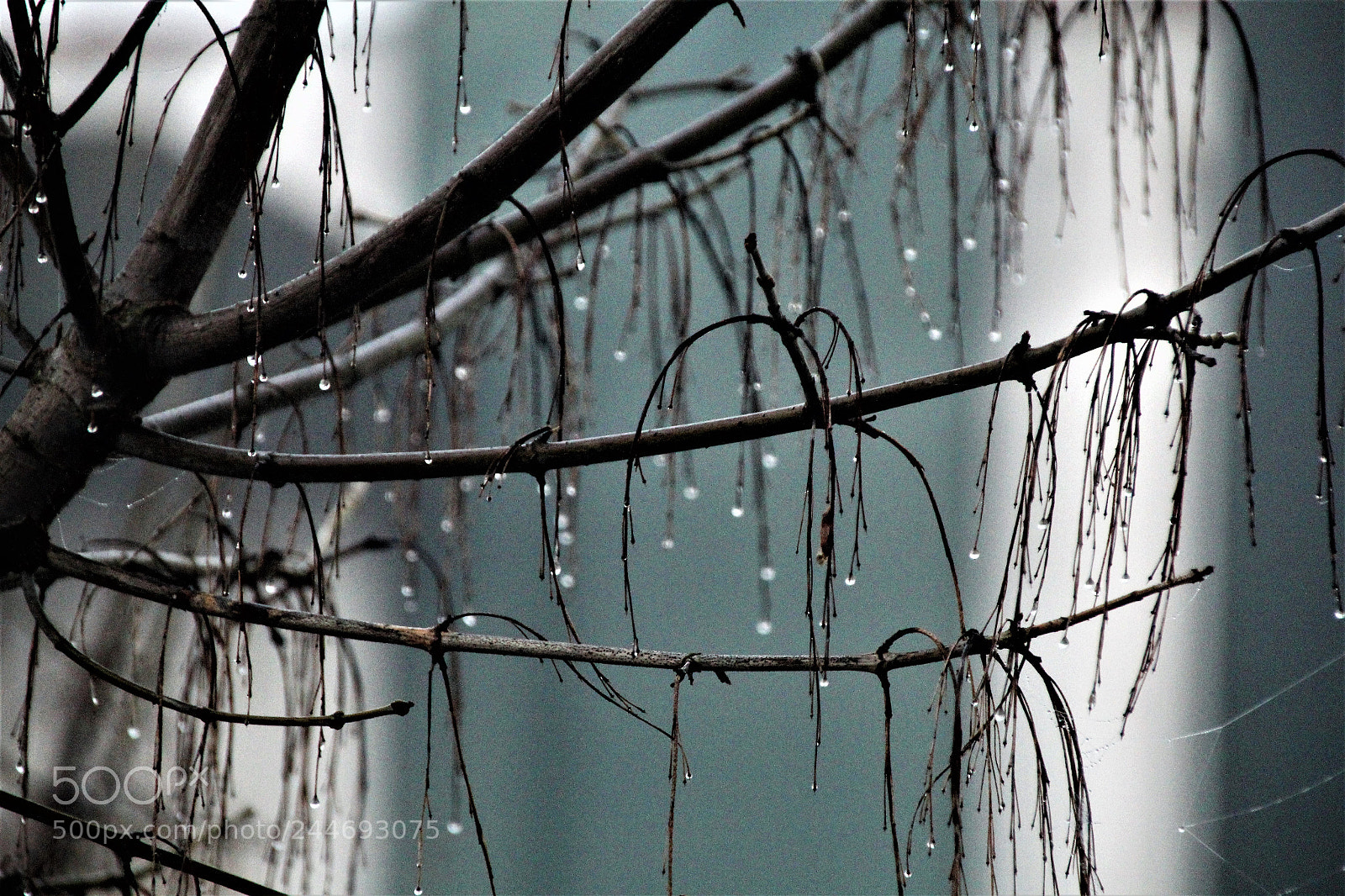 Canon EOS 60D sample photo. After rainy night photography