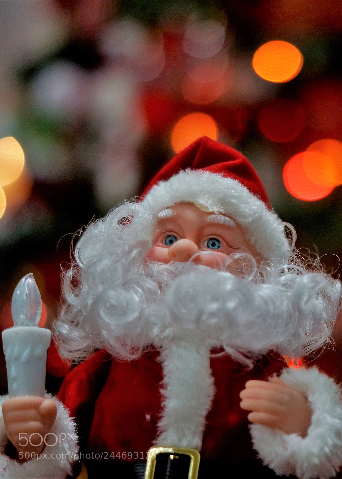 Sony SLT-A65 (SLT-A65V) sample photo. Xmas! photography